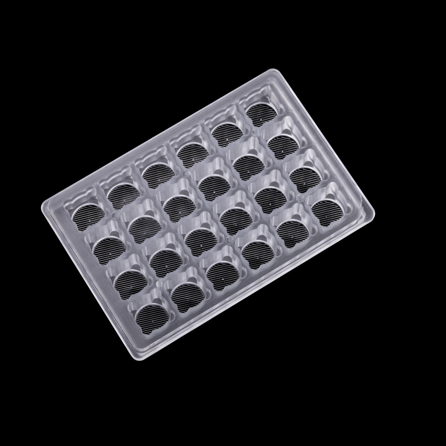 Expansify™ 24-Well Plate
