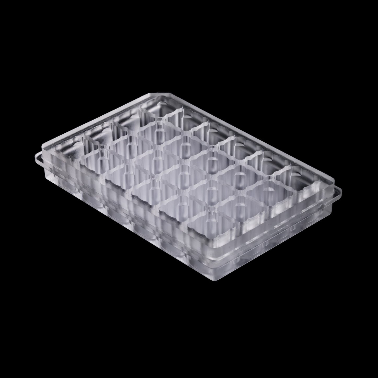 Expansify™ 24-Well Plate