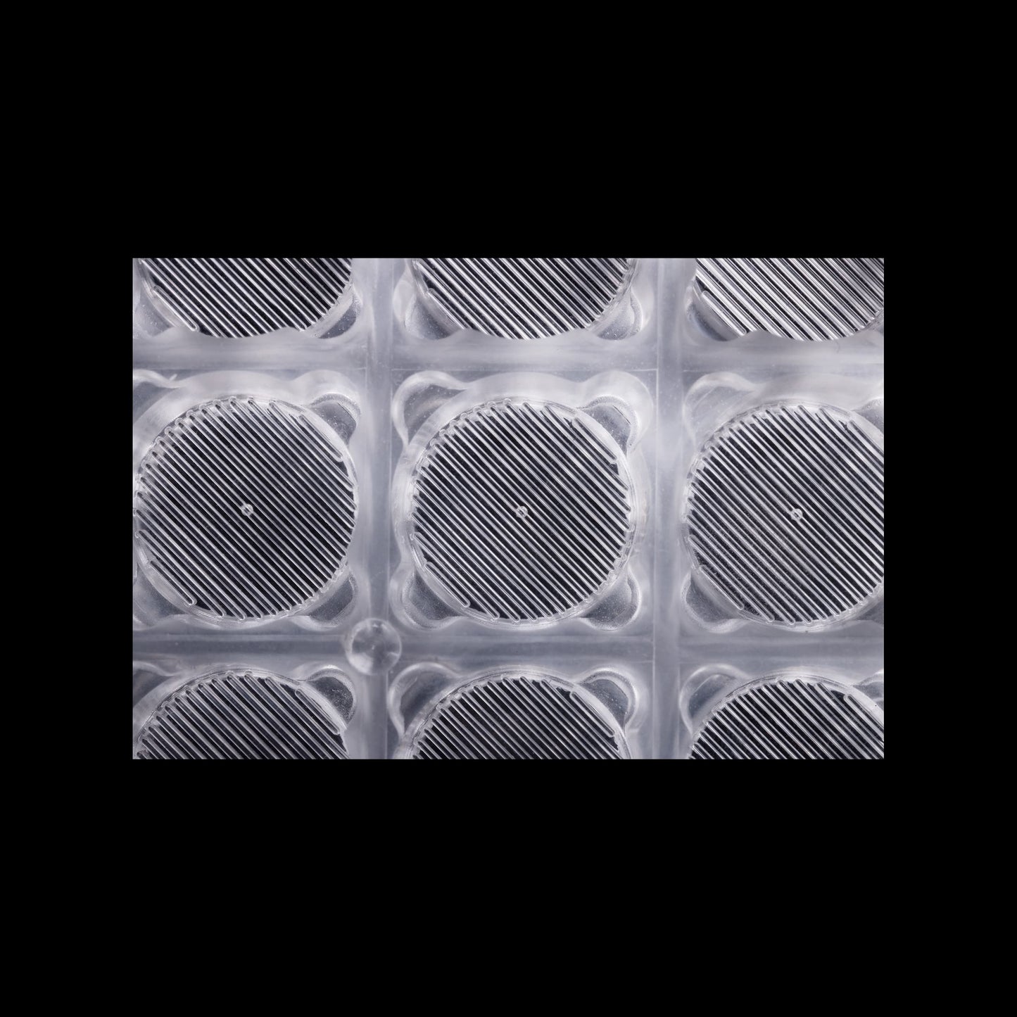 Expansify™ 24-Well Plate