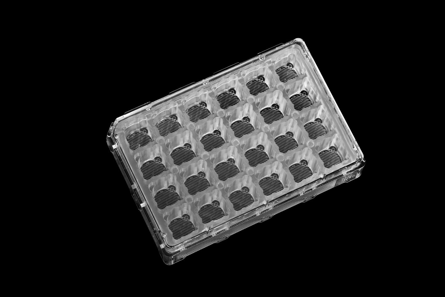 Expansify™ 24-Well Plate