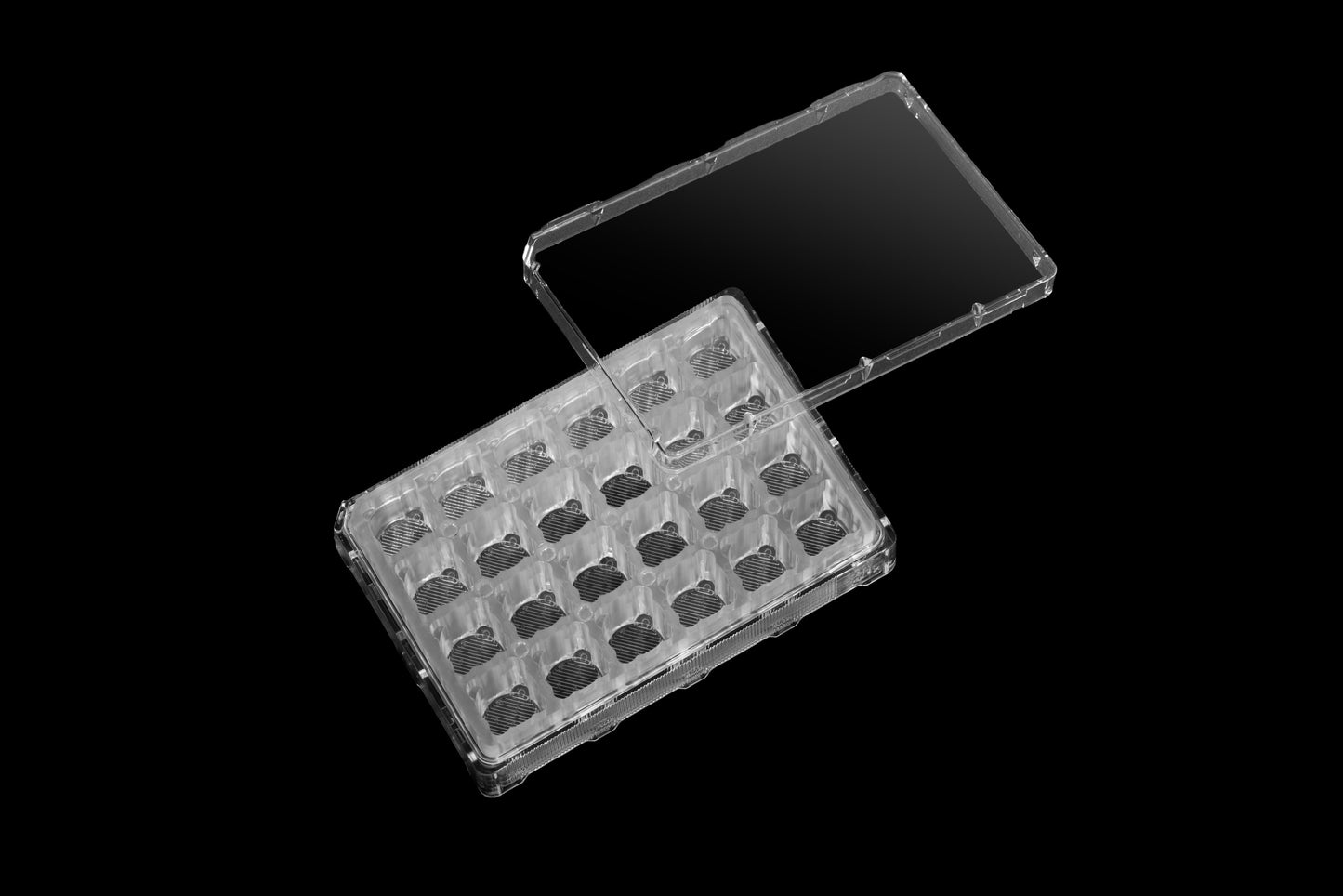 Expansify™ 24-Well Plate