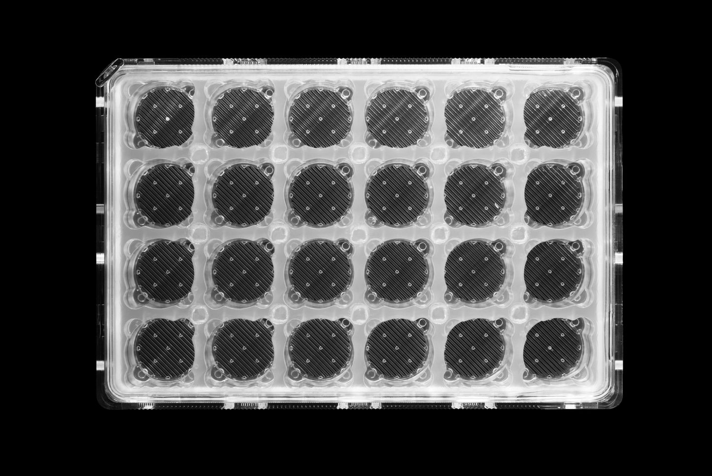 Expansify™ 24-Well Plate