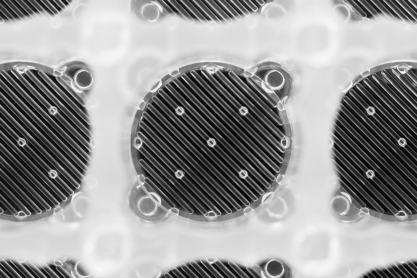 Expansify™ 24-Well Plate